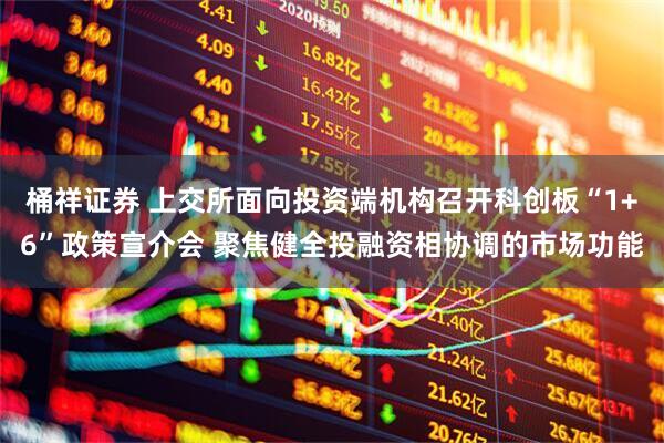 桶祥证券 上交所面向投资端机构召开科创板“1+6”政策宣介会 聚焦健全投融资相协调的市场功能