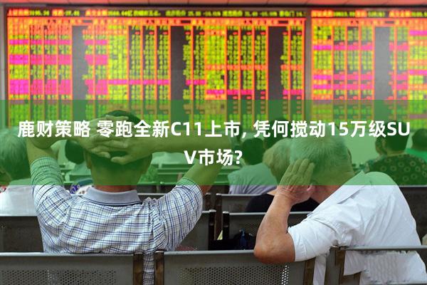 鹿财策略 零跑全新C11上市, 凭何搅动15万级SUV市场?