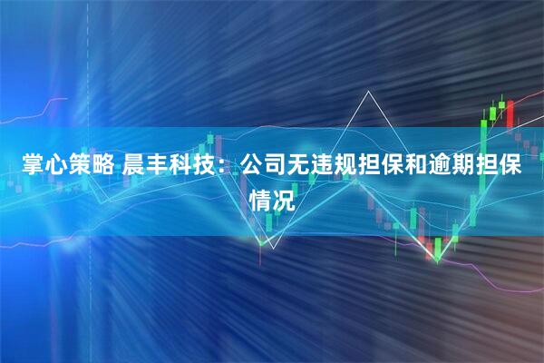 掌心策略 晨丰科技：公司无违规担保和逾期担保情况