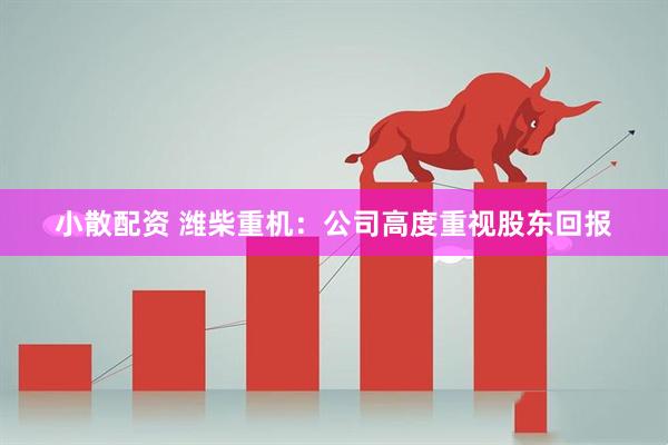 小散配资 潍柴重机:公司高度重视股东回报